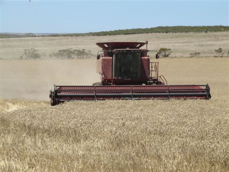 1 Scenic Highway, Cowell SA 5602