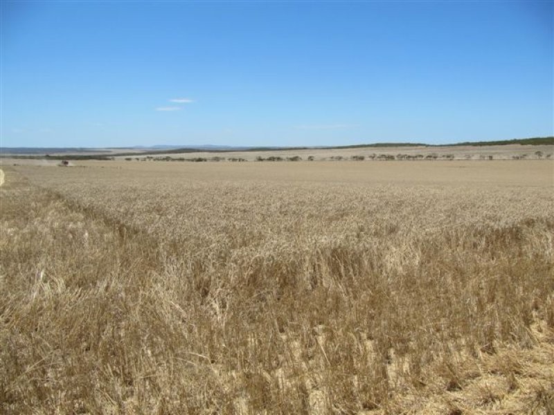 1 Scenic Highway, Cowell SA 5602