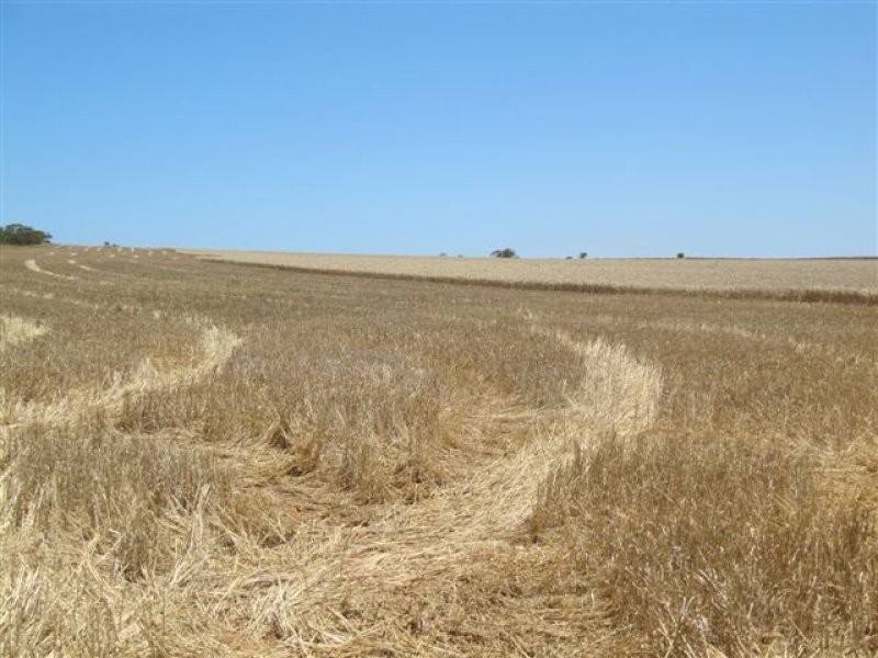 1 Scenic Highway, Cowell SA 5602