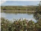 3333 Princes Highway, Ashville SA 5259