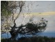 3333 Princes Highway, Ashville SA 5259
