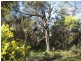 3333 Princes Highway, Ashville SA 5259