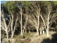3333 Princes Highway, Ashville SA 5259