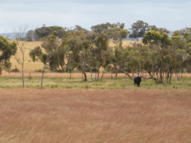11 Stevens Road, Currency Creek SA 5214