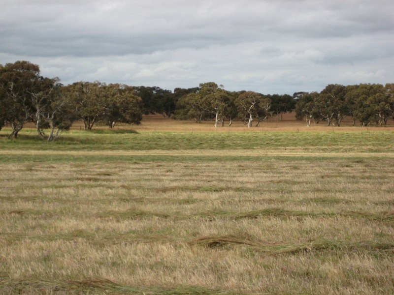 11 Stevens Road, Currency Creek SA 5214