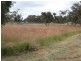 11 Stevens Road, Currency Creek SA 5214
