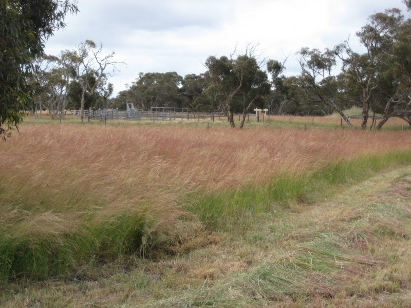 11 Stevens Road, Currency Creek SA 5214