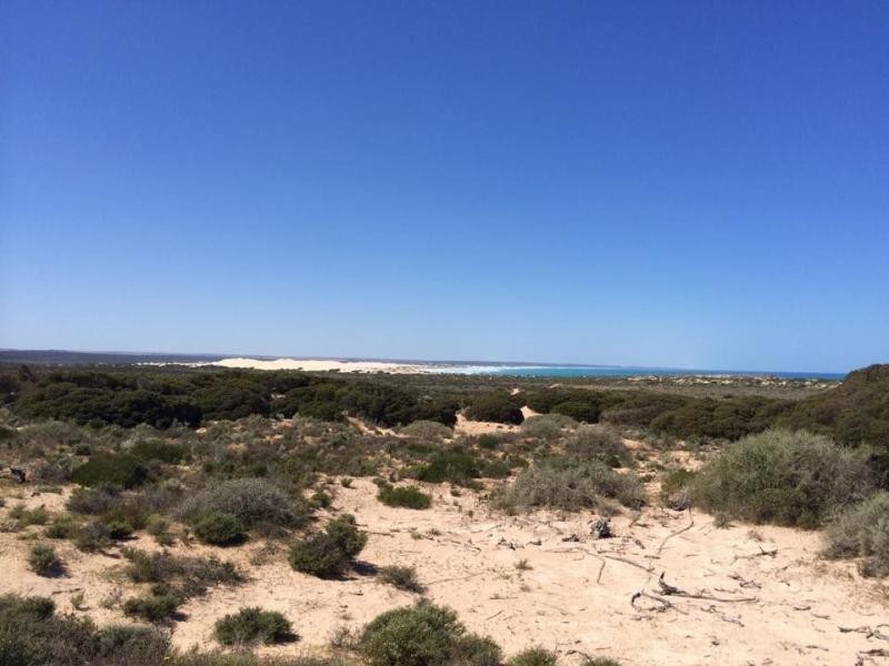 1 Princes Highway, Fowlers Bay SA 5690