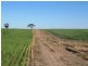 1 Darke Peak Road, Lock SA 5633