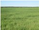 1 Darke Peak Road, Lock SA 5633