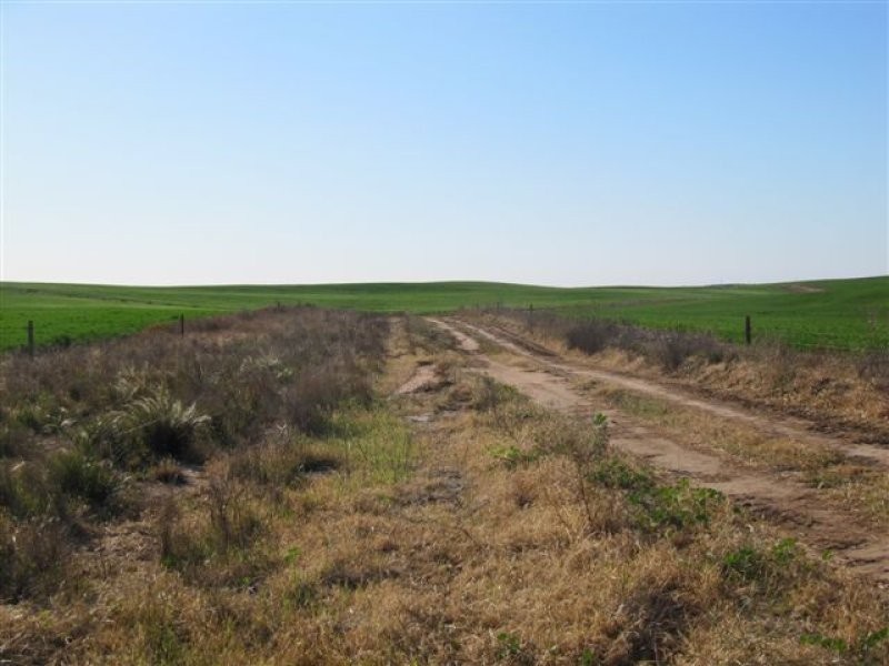 1 Darke Peak Road, Lock SA 5633