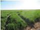 1 Darke Peak Road, Lock SA 5633