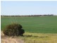 1 Darke Peak Road, Lock SA 5633