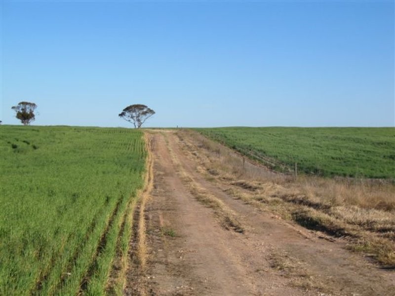 1 Cnr Pascoe Road & Palkagee Road, Lock SA 5633