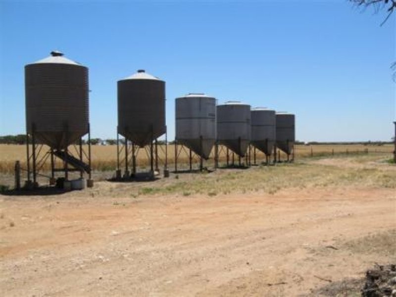 1 Cnr Pascoe Road & Palkagee Road, Lock SA 5633