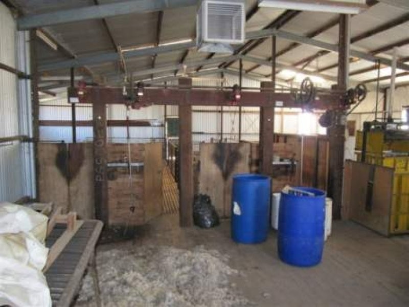 1 Cnr Pascoe Road & Palkagee Road, Lock SA 5633