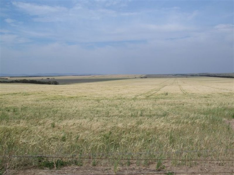 1 Cnr Pascoe Road & Palkagee Road, Lock SA 5633