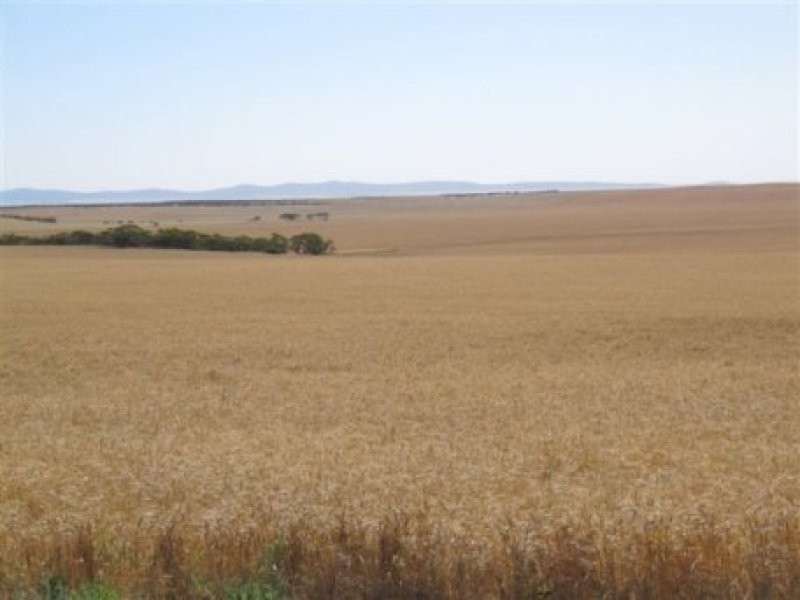 1 Cnr Pascoe Road & Palkagee Road, Lock SA 5633