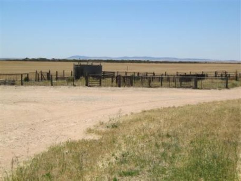 1 Cnr Pascoe Road & Palkagee Road, Lock SA 5633