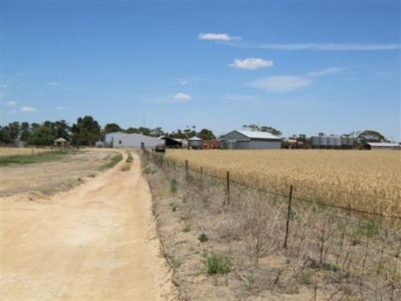 1 Cnr Pascoe Road & Palkagee Road, Lock SA 5633