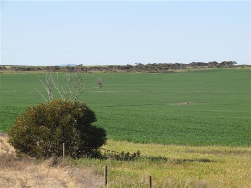 1 Cnr Pascoe Road & Palkagee Road, Lock SA 5633
