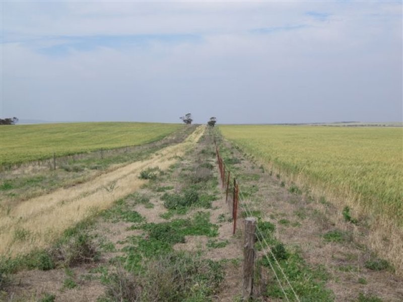 1 Cnr Pascoe Road & Palkagee Road, Lock SA 5633