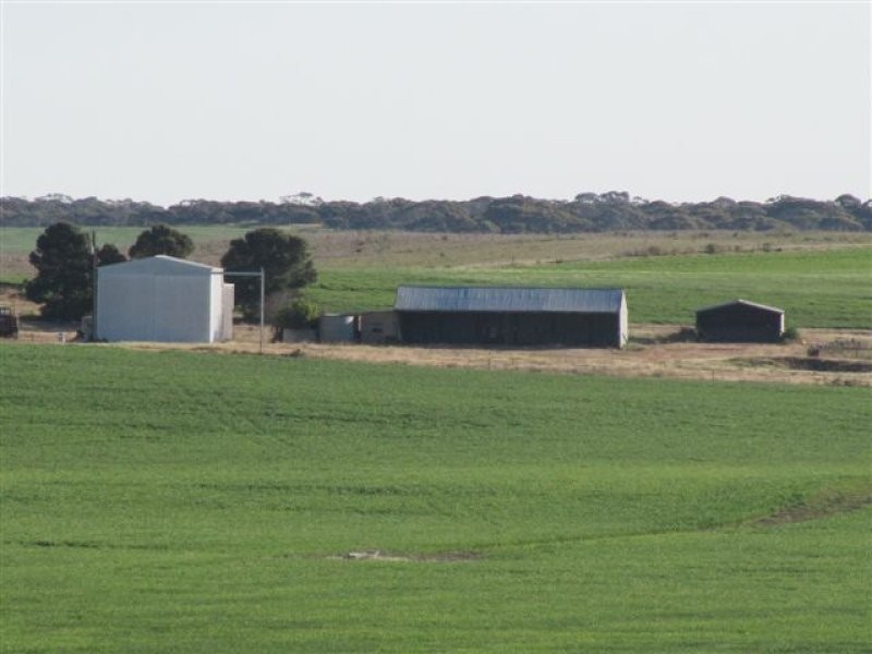 1 Cnr Pascoe Road & Palkagee Road, Lock SA 5633