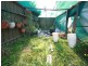 12 Dyson Court, Paralowie SA 5108