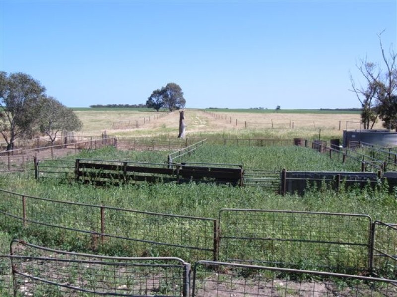 1 Barwell Road, Lock SA 5633
