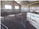 1 Barwell Road, Lock SA 5633