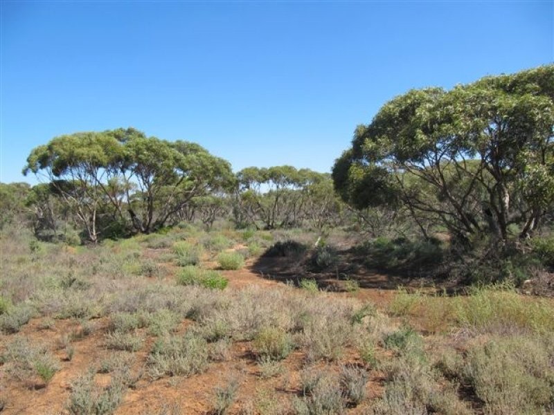 1 Deviation Road, Cowell SA 5602