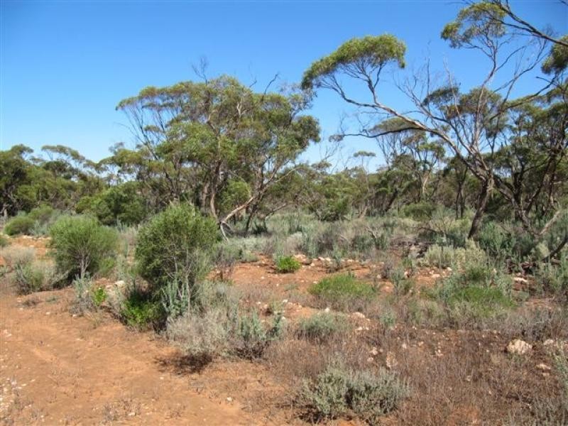 1 Deviation Road, Cowell SA 5602