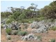 1 Deviation Road, Cowell SA 5602