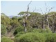 1 Deviation Road, Cowell SA 5602