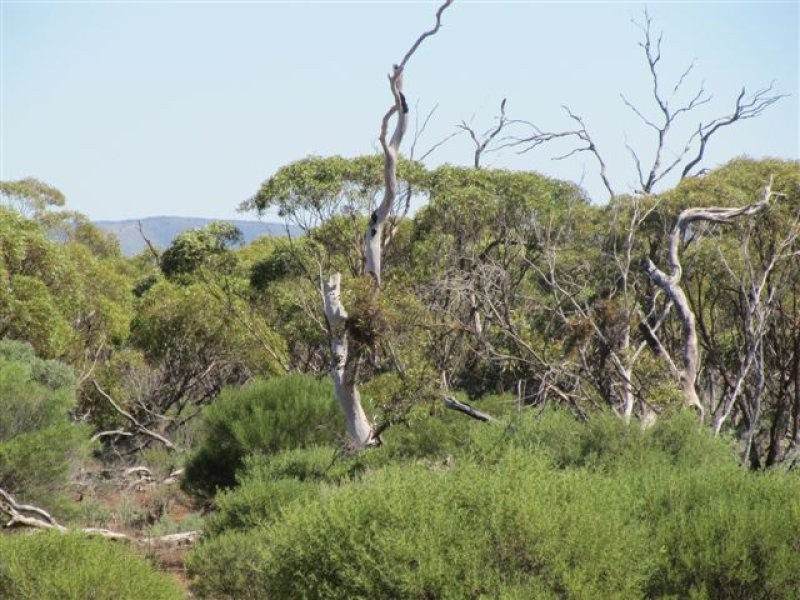 1 Deviation Road, Cowell SA 5602