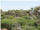 1 Deviation Road, Cowell SA 5602