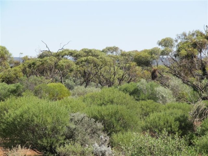 1 Deviation Road, Cowell SA 5602