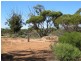 1 Deviation Road, Cowell SA 5602