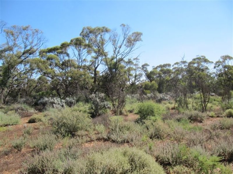 1 Deviation Road, Cowell SA 5602
