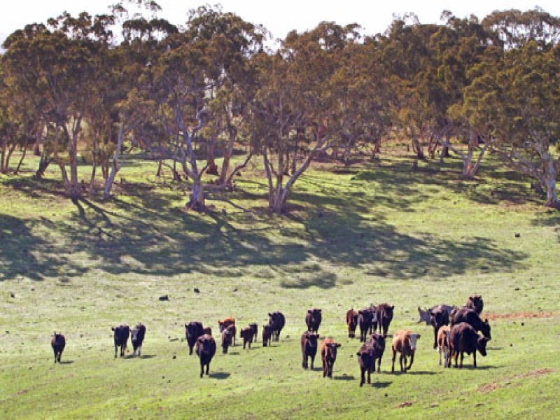 L1 Signal Flat Road, Ashbourne SA 5157