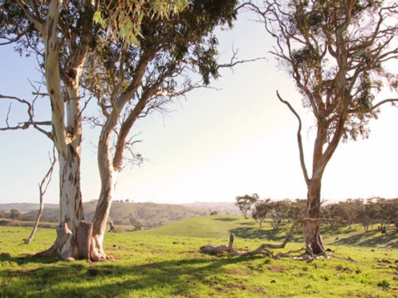 L1 Signal Flat Road, Ashbourne SA 5157