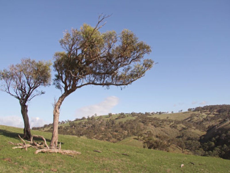 L1 Signal Flat Road, Ashbourne SA 5157