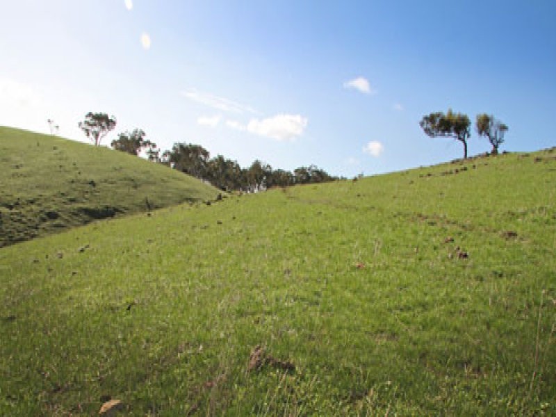 L1 Signal Flat Road, Ashbourne SA 5157