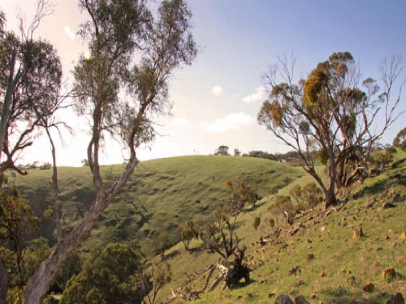 L1 Signal Flat Road, Ashbourne SA 5157