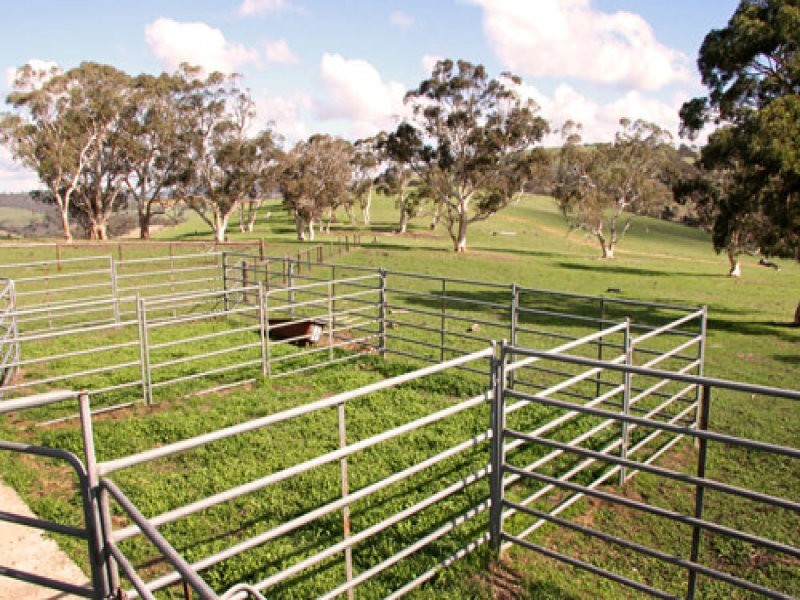 L1 Signal Flat Road, Ashbourne SA 5157