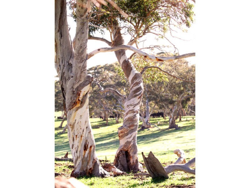 L1 Signal Flat Road, Ashbourne SA 5157