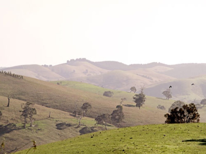 L1 Signal Flat Road, Ashbourne SA 5157