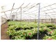 59 Murphy Road, Houghton SA 5131