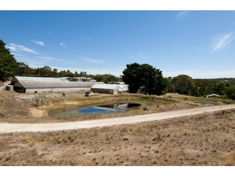 59 Murphy Road, Houghton SA 5131