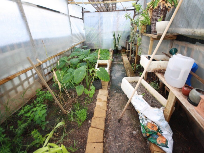 26 Waller Street, Mansfield Park SA 5012